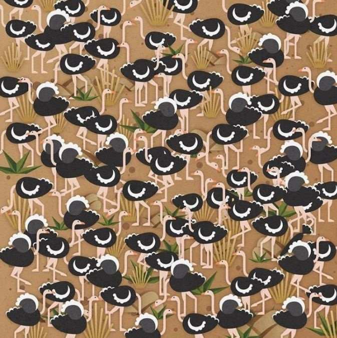 Enigmi interessanti per persone molto intelligenti: solo pochi riescono a trovare l'ombrello