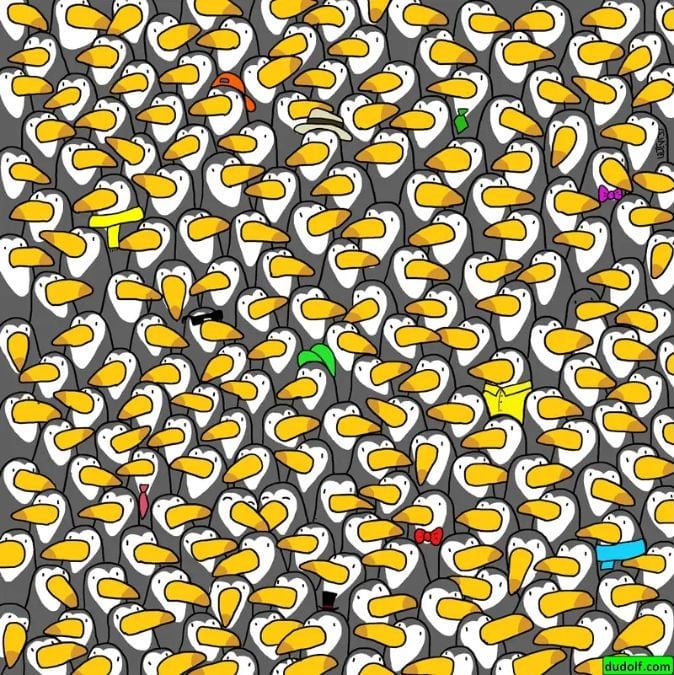 Super Brain Puzzle: solo pochi riescono a trovare il pinguino in 30 secondi