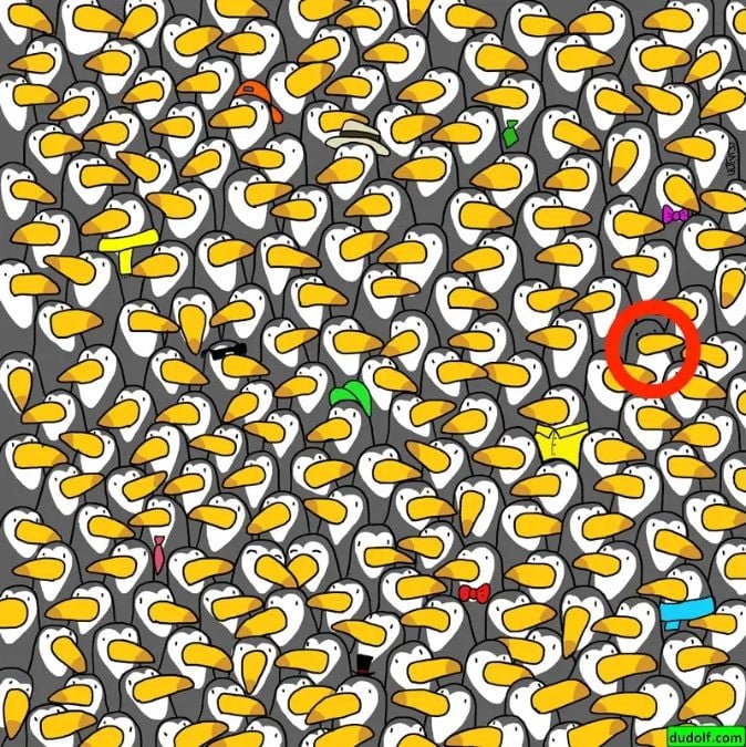 Super Brain Puzzle: solo pochi riescono a trovare il pinguino in 30 secondi