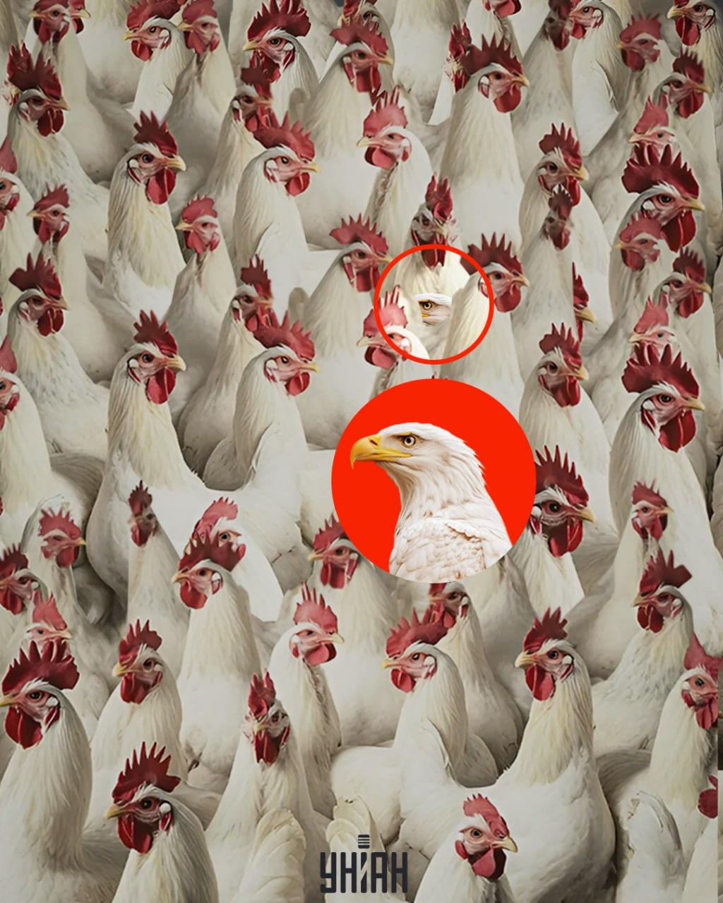 Se ricordi che l'aquila non ha un badge/collage Moje, puoi trovarlo abbastanza rapidamente