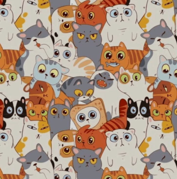 foto dal lato positivo