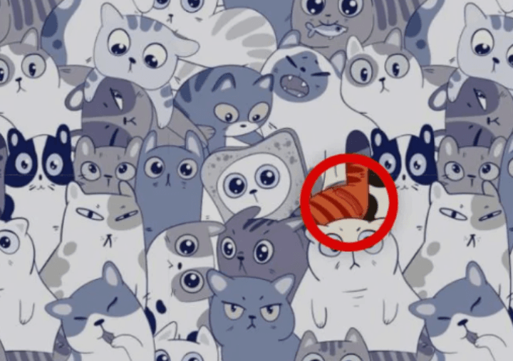 foto dal lato positivo