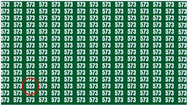 Il numero 523 si trova nell'angolo in basso a sinistra/foto speculare