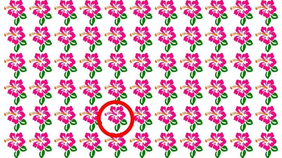 Risposte al puzzle/Foto di Fresherslive