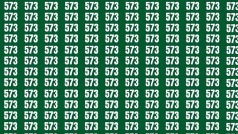 Solo una persona con la vista acuta può risolvere questo puzzle in 18 secondi