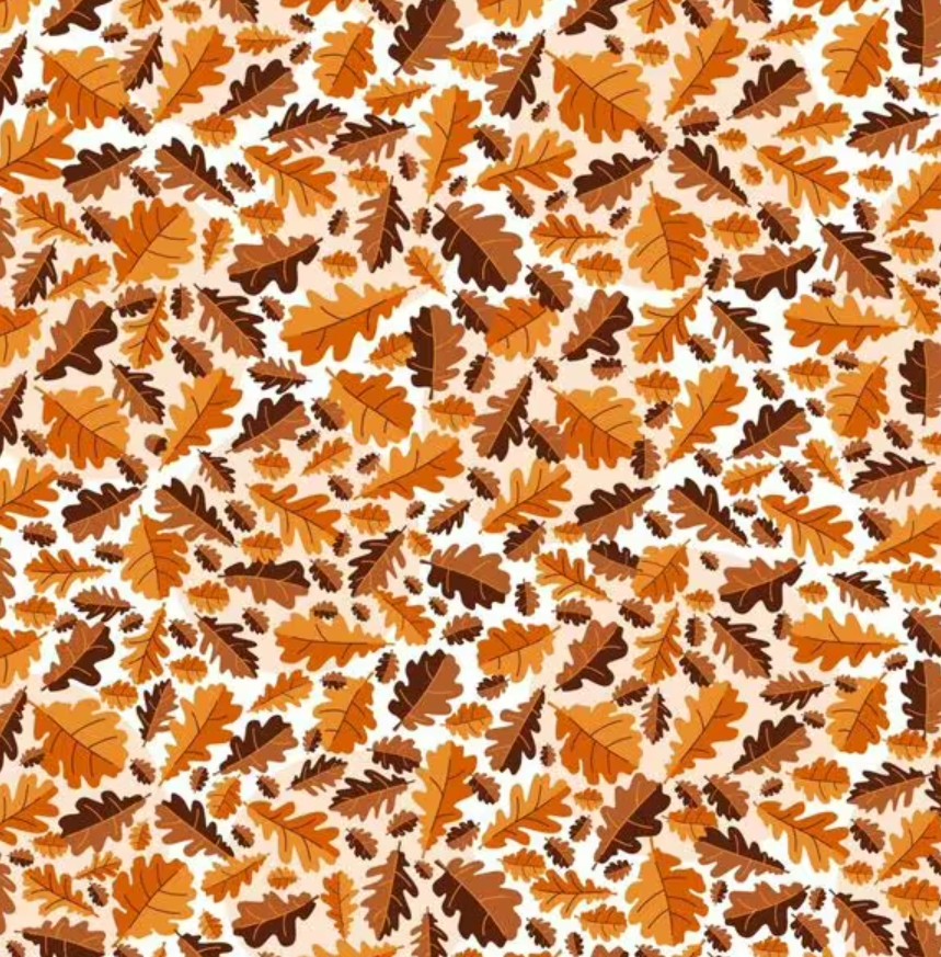 Puzzle: devi trovare la ghianda in pochi secondi