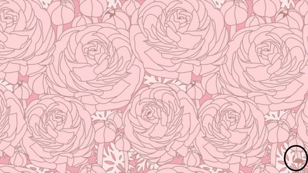 Il folle puzzle del genio: devi trovare il fenicottero tra i fiori entro 7 secondi.