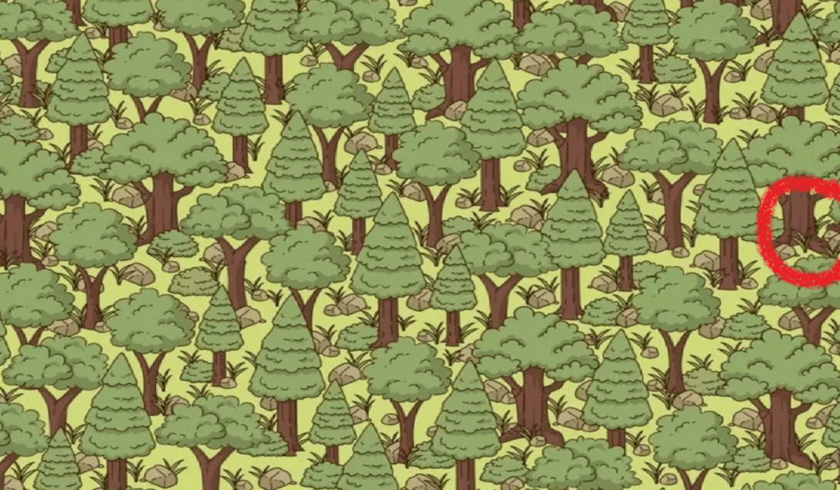 Foto di Jagran Joshi