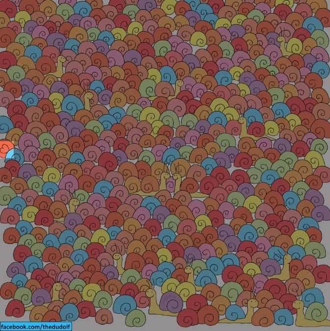 Risposta corretta al puzzle 