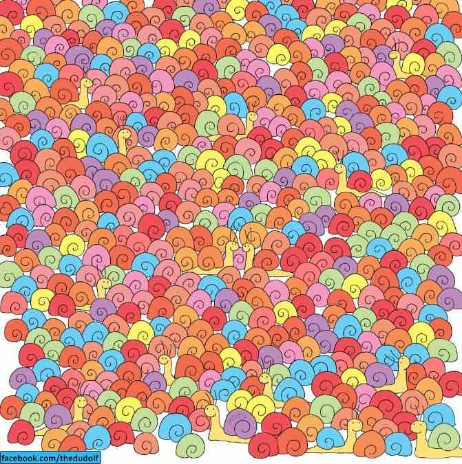 Vedi un cuore nella lumaca? 