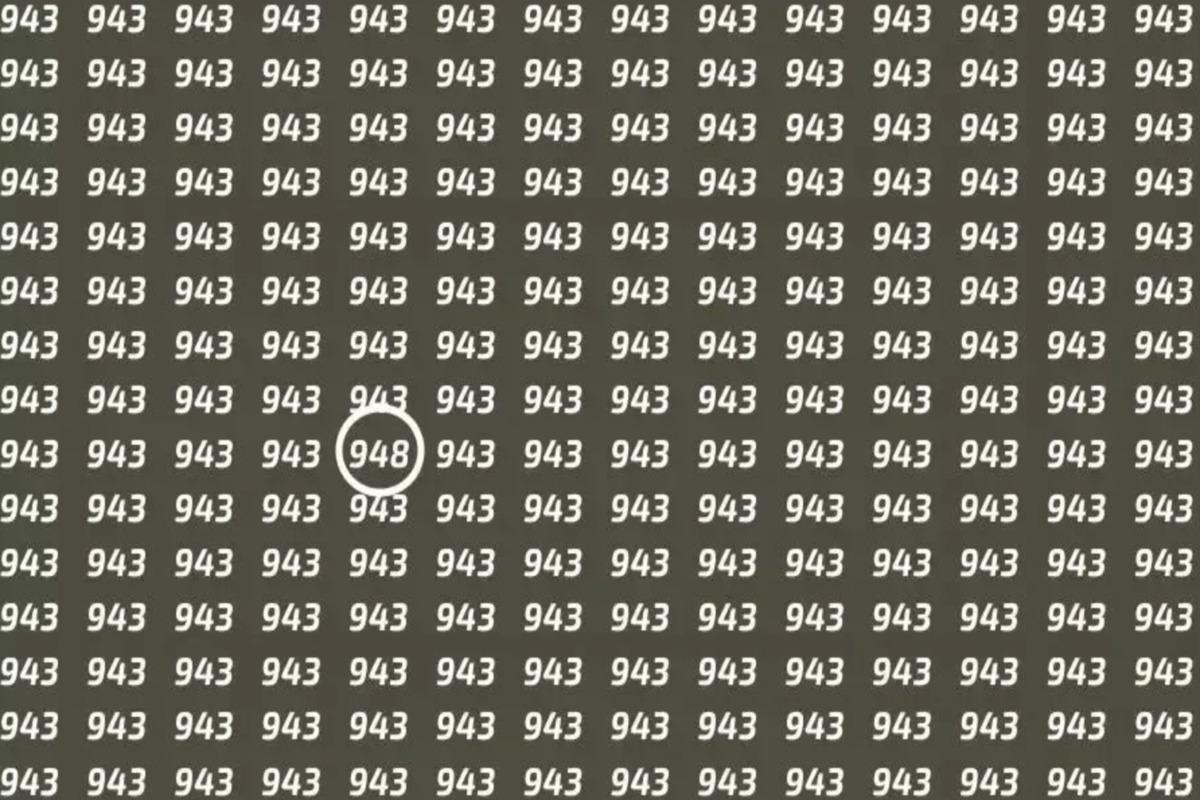 Prova a trovare il numero 948