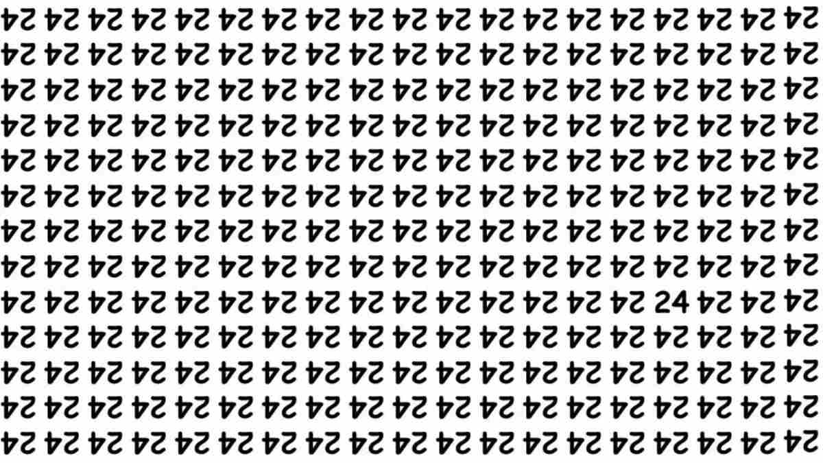Puzzle straordinario: solo le persone con un QI elevato possono trovare il numero 24