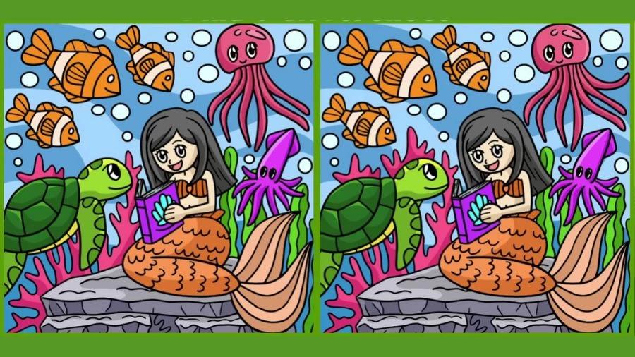 Puzzle/Matricole dal vivo