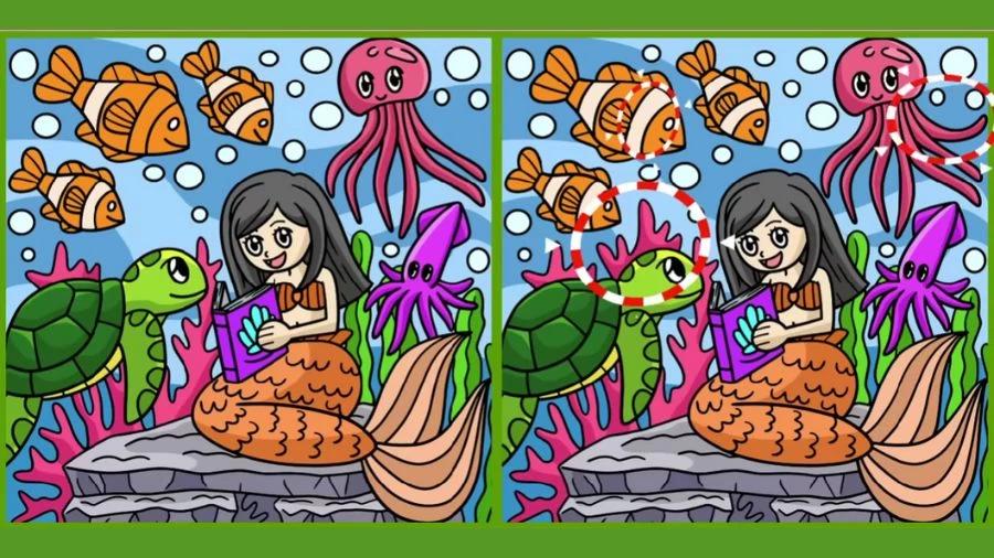 Soluzioni/Matricolelive