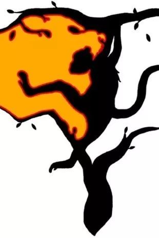 Cosa significa se la prima cosa che vedi è una testa di tigre? 