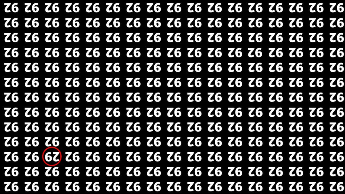 Solo il 2% dei geni riesce a trovare il numero nascosto 29 in 10 secondi: puzzle straordinario