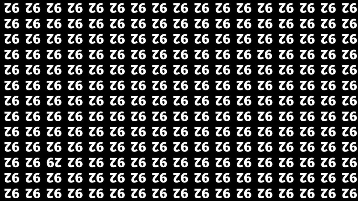 Solo il 2% dei geni troverà il numero nascosto 29 in 10 secondi: un fantastico puzzle game