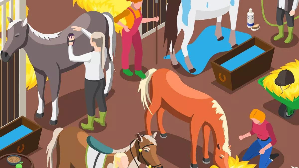 puzzle, ferro di cavallo