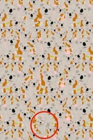 Riesci a vedere il coniglio adesso?