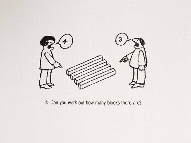 Un puzzle pazzesco che batterà la maggior parte degli adulti: mettiti alla prova