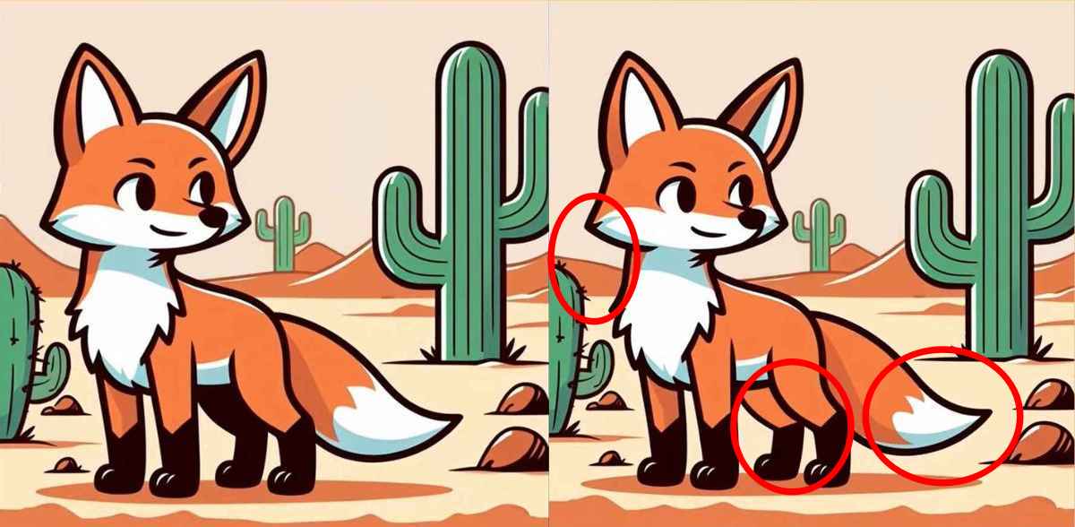 Risposta corretta al puzzle 