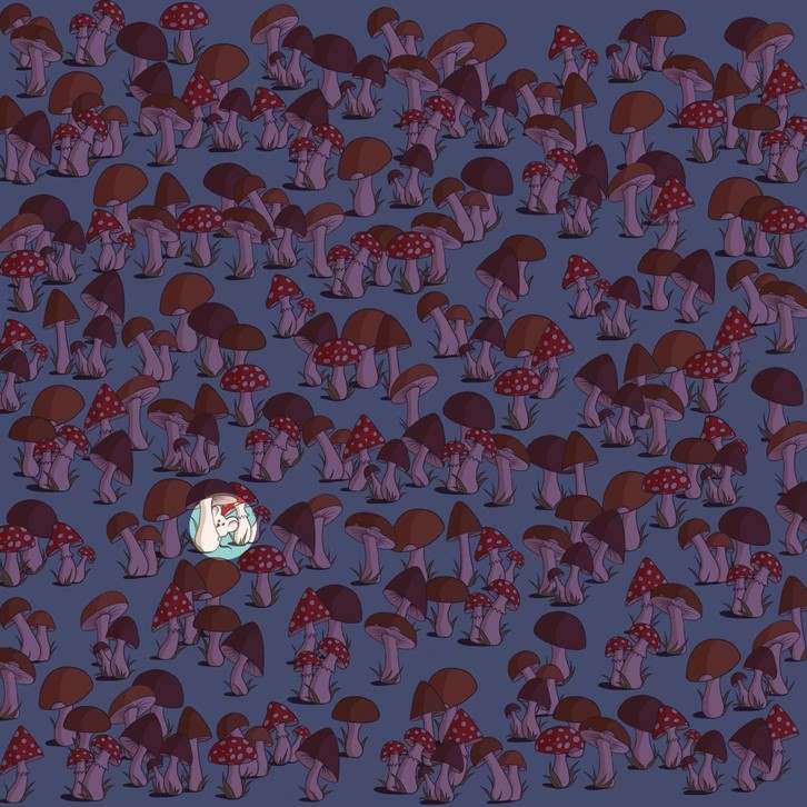 Illusione ottica inaudita: solo un genio potrebbe trovare un topo dentro un fungo in 17 secondi