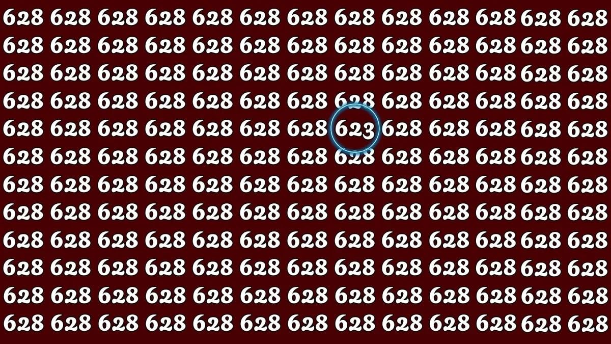 Puzzle per persone intelligenti: trova il numero 623 in soli 32 secondi