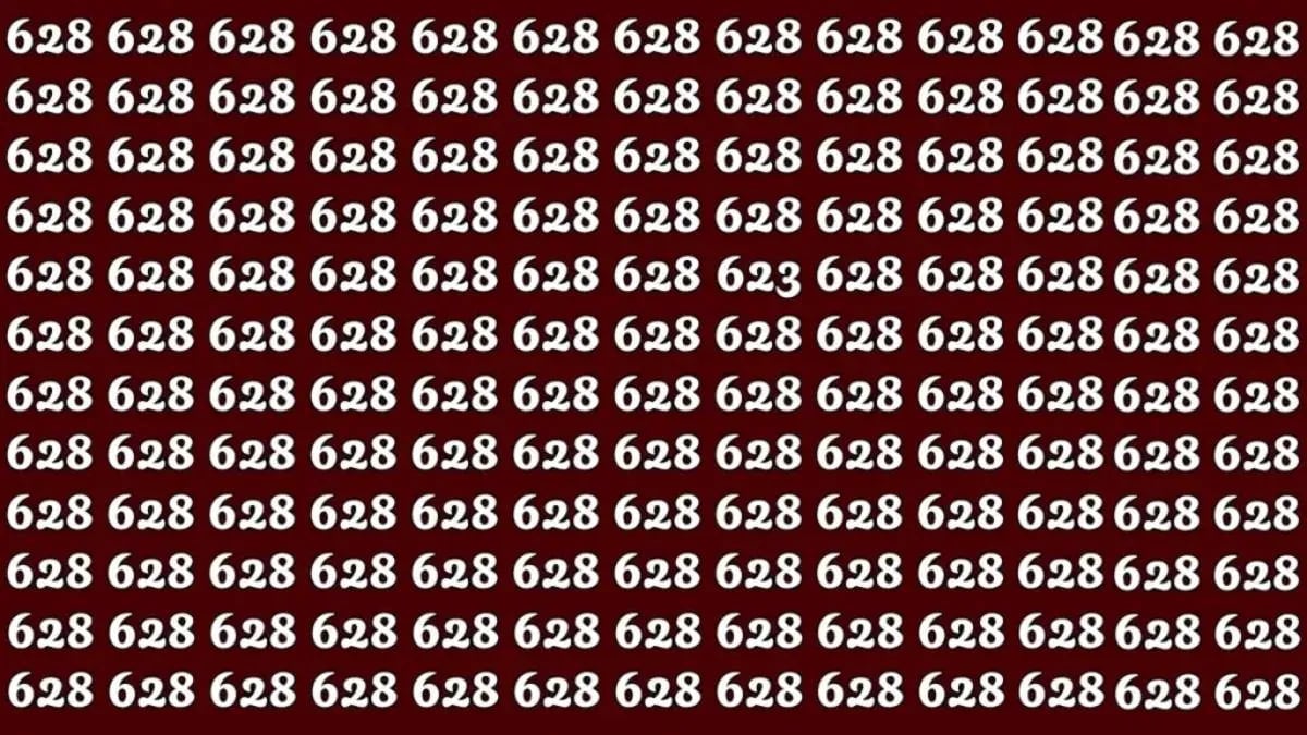 Puzzle per persone intelligenti: trova il numero 623 in soli 32 secondi