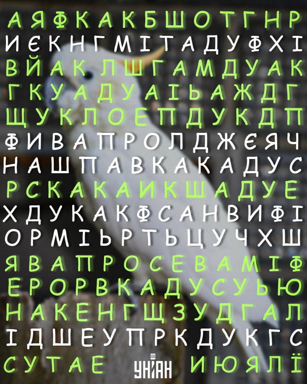 il mio collage il mio collage