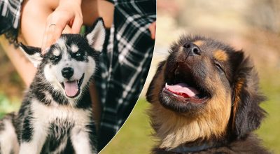 Găsește soluția: Gă puzzles și enigme captivante