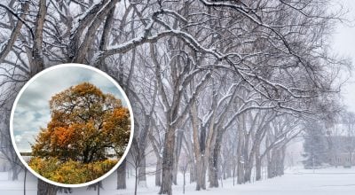 Găsește soluția: Gă puzzles și enigme captivante