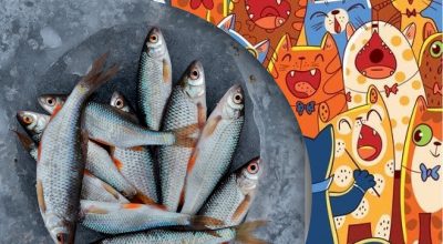 Găsește soluția: Gă puzzles și enigme captivante