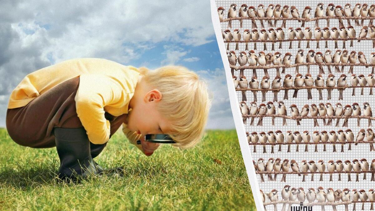 Devi trovare un pappagallo tra centinaia di passeri in 7 secondi: un puzzle game avvincente