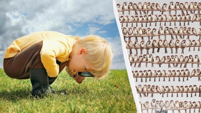 Devi trovare un pappagallo tra centinaia di passeri in 7 secondi: un puzzle game avvincente