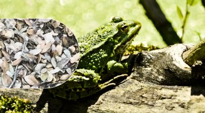 Găsește soluția: Gă puzzles și enigme captivante