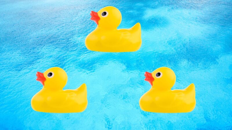 Genius trova un'anatra unica in 4 secondi: un puzzle game sulla consapevolezza