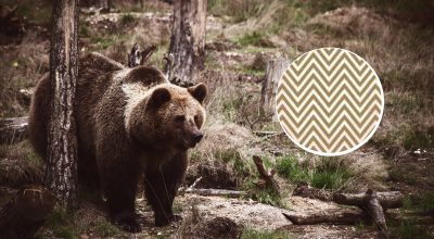 Găsește soluția: Gă puzzles și enigme captivante