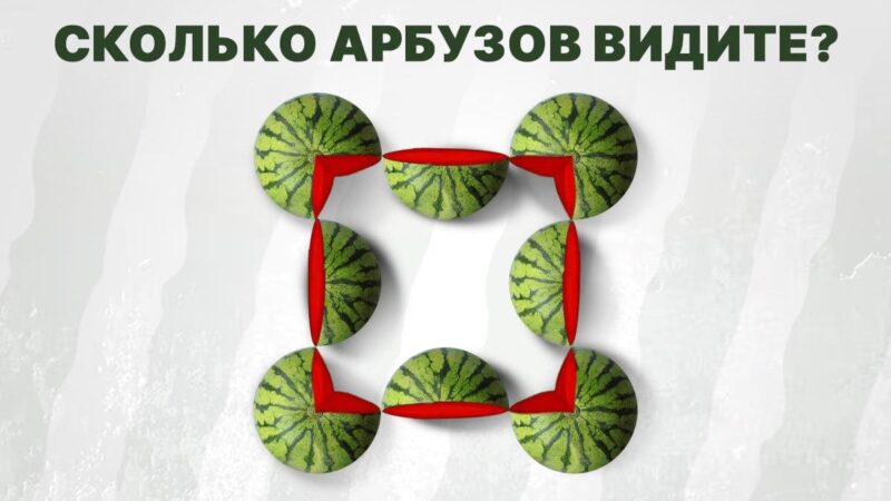 Il puzzle dell'uomo più intelligente: devi contare i cocomeri in tempo record