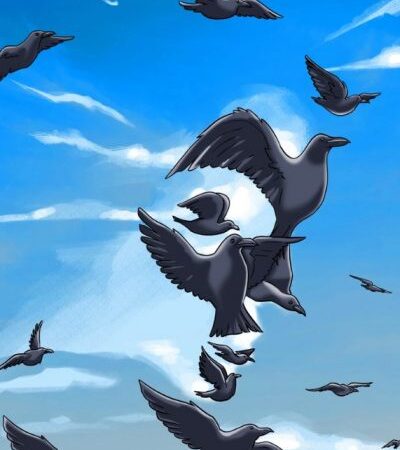 Illusione ottica complessa: devi trovare una persona nella foto entro 5 secondi