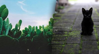 Găsește soluția: Gă puzzles și enigme captivante