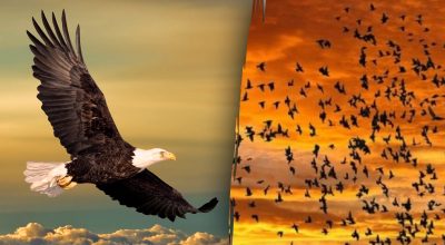 Găsește soluția: Gă puzzles și enigme captivante