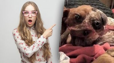 Găsește soluția: Gă puzzles și enigme captivante