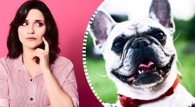 Găsește soluția: Gă puzzles și enigme captivante