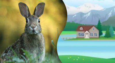 Găsește soluția: Gă puzzles și enigme captivante