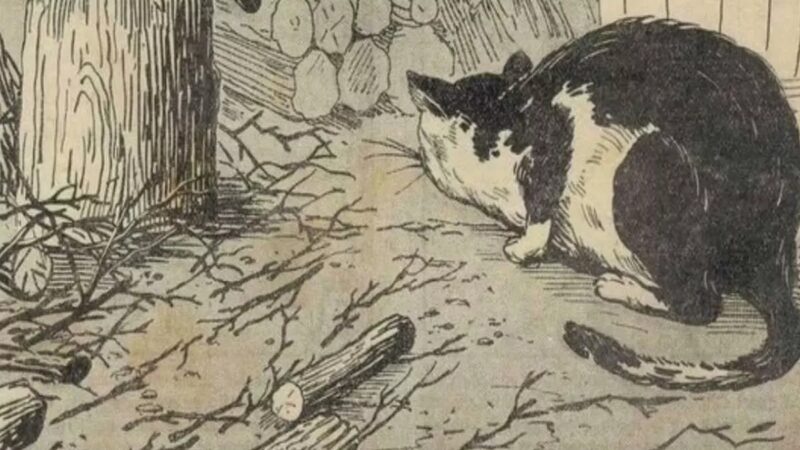 Nascondiglio del topo: solo chi ha un occhio attento può risolvere il puzzle.