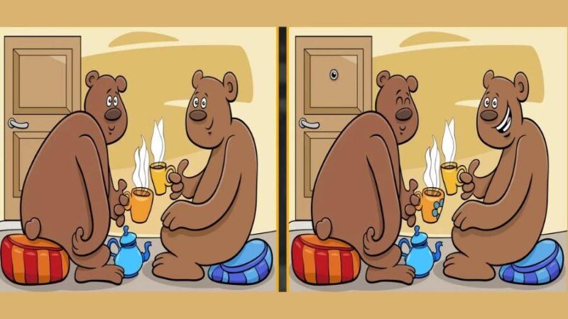 Orsacchiotto furbo: solo chi ha un occhio attento può risolvere questo puzzle in 24 secondi