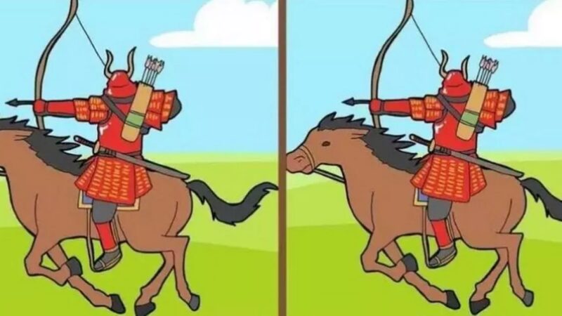 Puzzle estremamente difficile: trova 3 differenze in 18 secondi