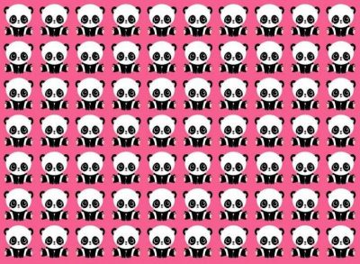 Puzzle per i più attenti: devi trovare il panda entro 7 secondi.