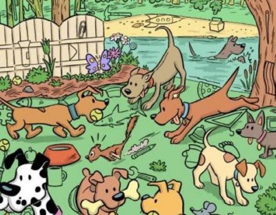 Puzzle per persone vedenti: devi trovare un magnete entro 12 secondi.