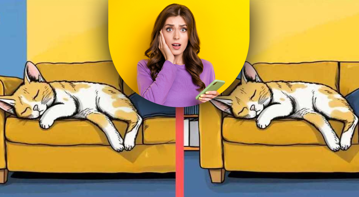 Qual è la differenza tra due gatti: trova 3 differenze in 19 secondi